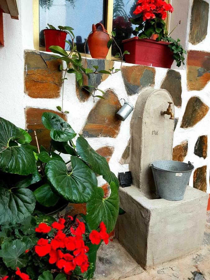Vivienda Vacacional Ca Na Paula La Orotava Eksteriør bilde