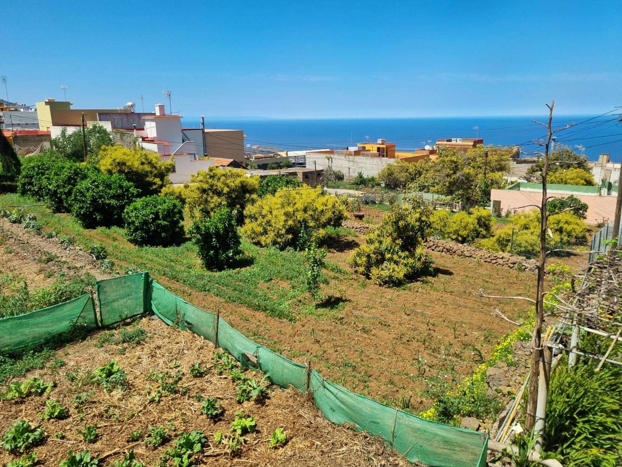Vivienda Vacacional Ca Na Paula La Orotava Eksteriør bilde
