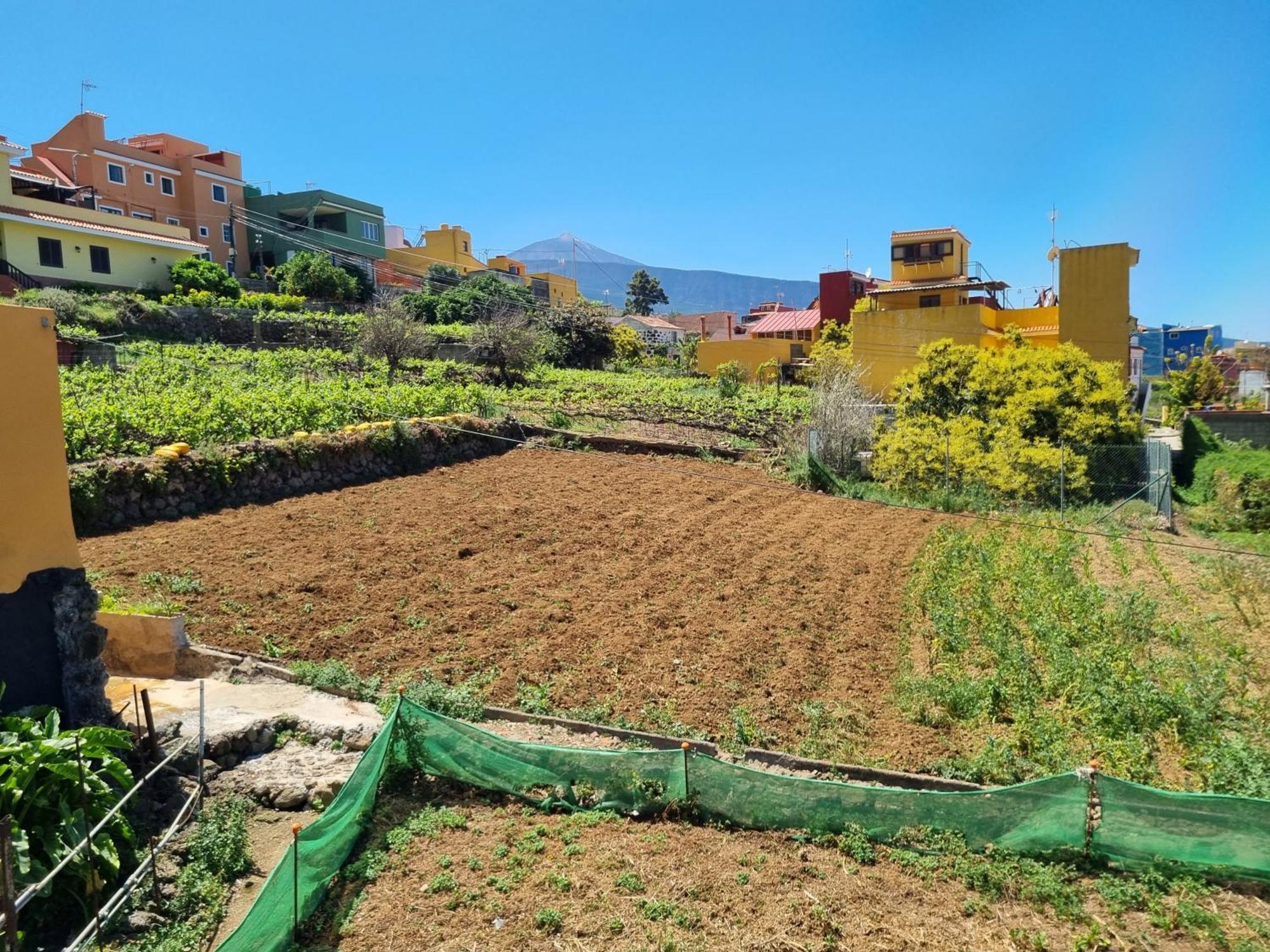 Vivienda Vacacional Ca Na Paula La Orotava Eksteriør bilde
