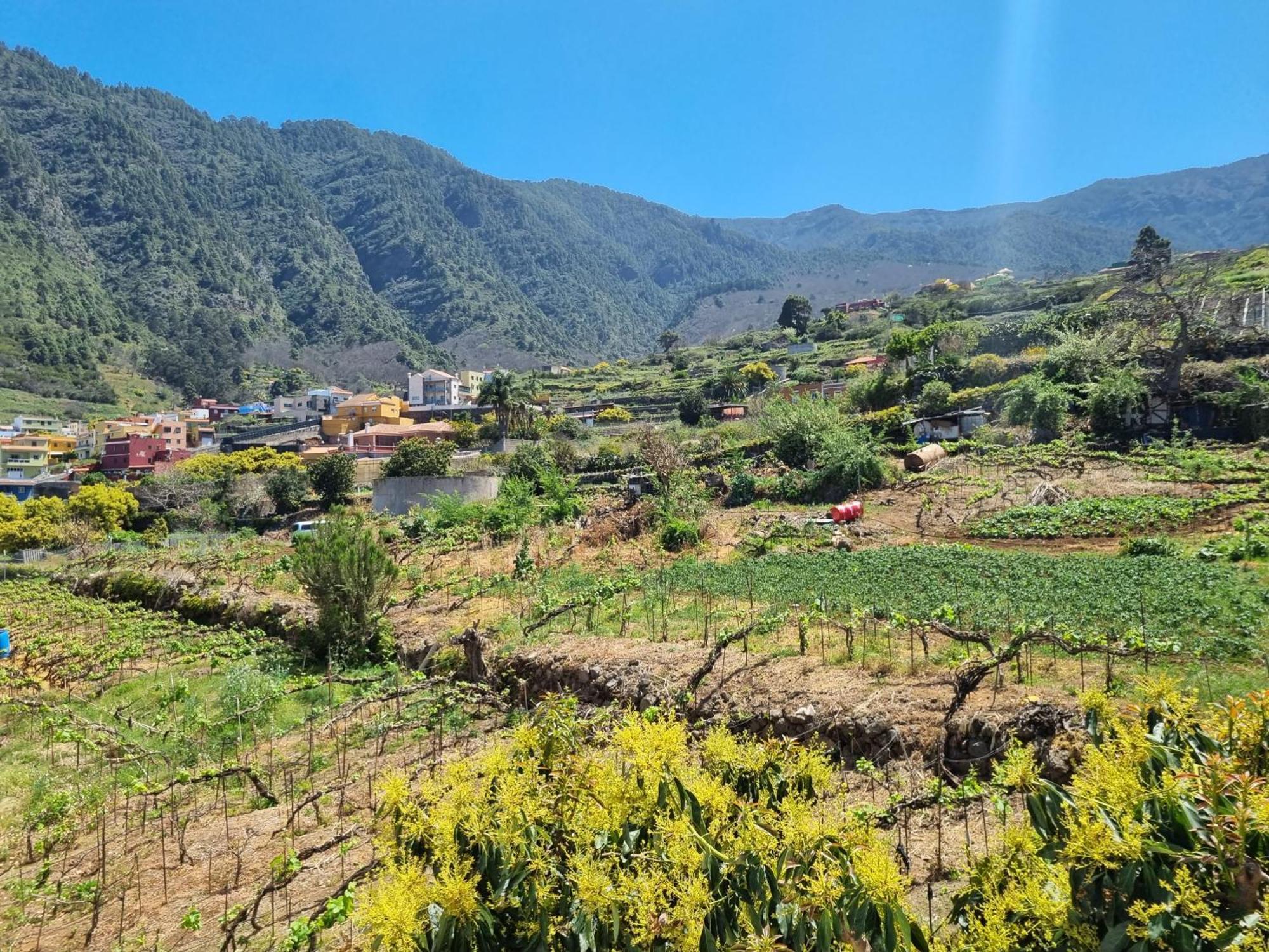 Vivienda Vacacional Ca Na Paula La Orotava Eksteriør bilde